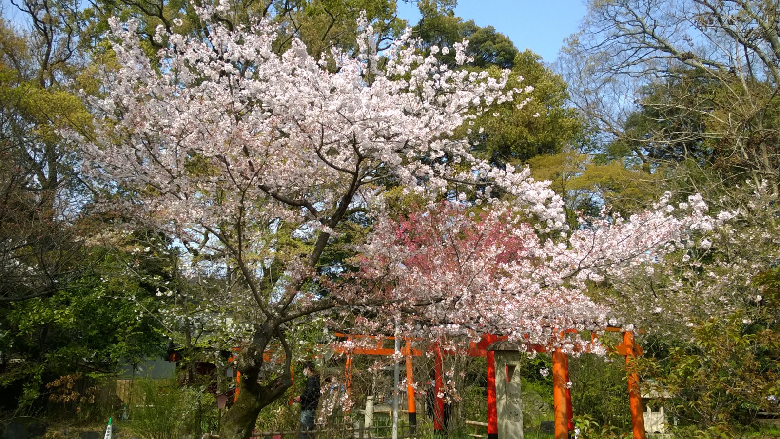 WP_20180401_14_43_28_Pro.jpg