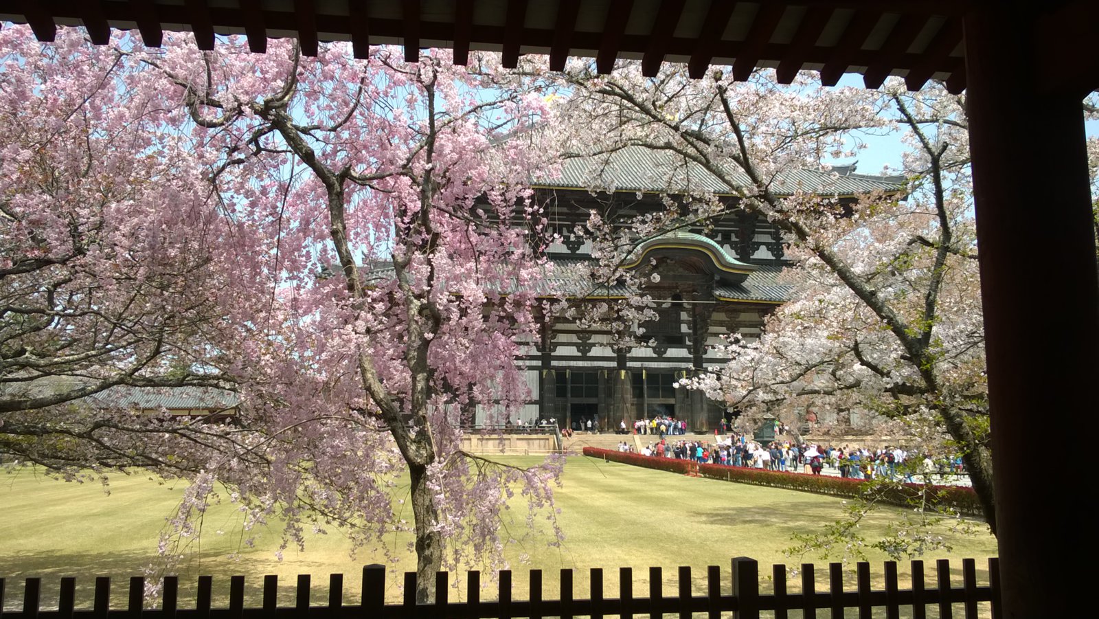WP_20180402_11_35_48_Pro.jpg
