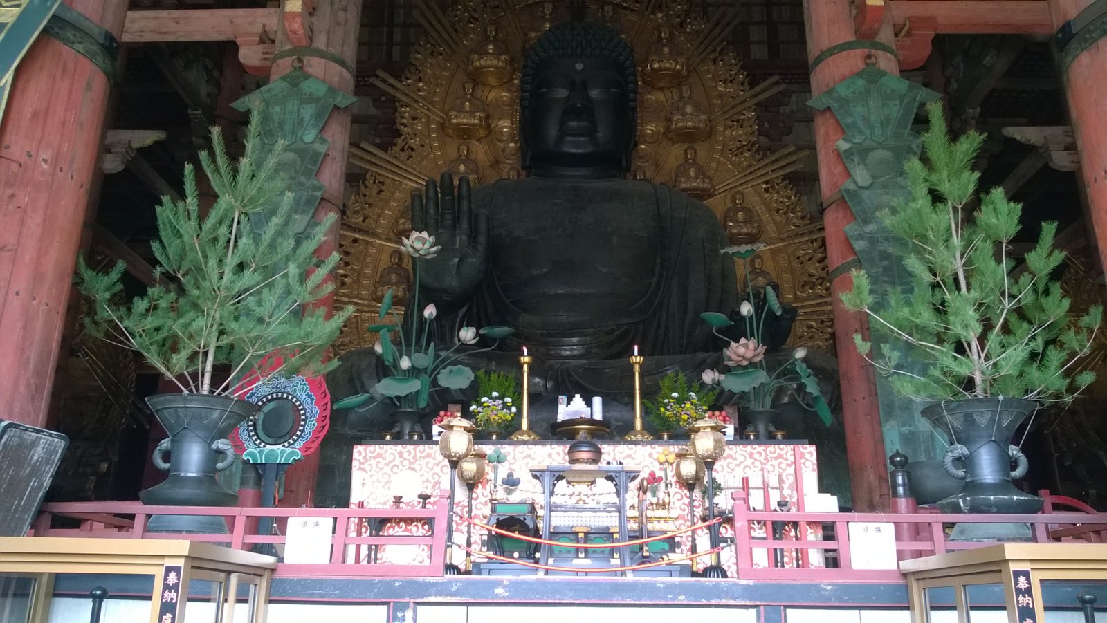 WP_20180402_11_39_48_Pro.jpg