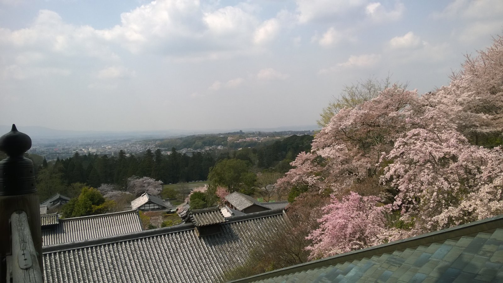 WP_20180402_12_27_28_Pro.jpg