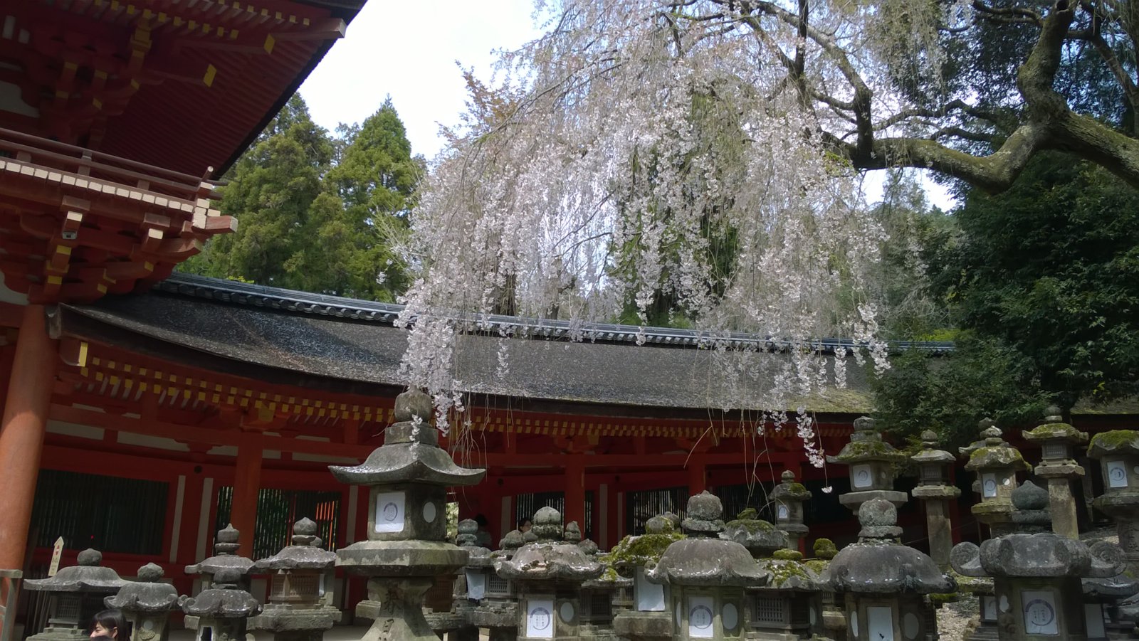 WP_20180402_13_16_44_Pro.jpg