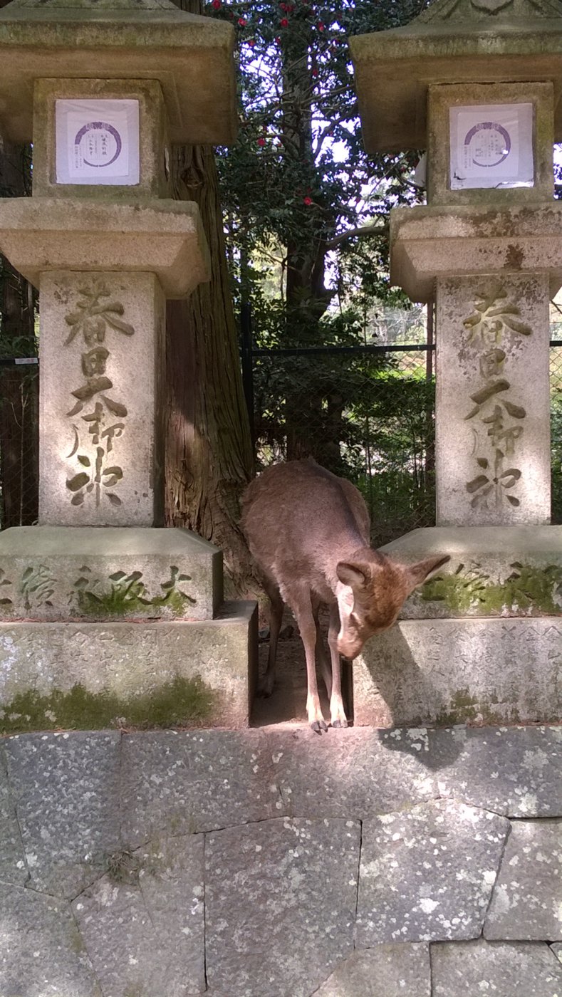 WP_20180402_14_00_08_Pro.jpg