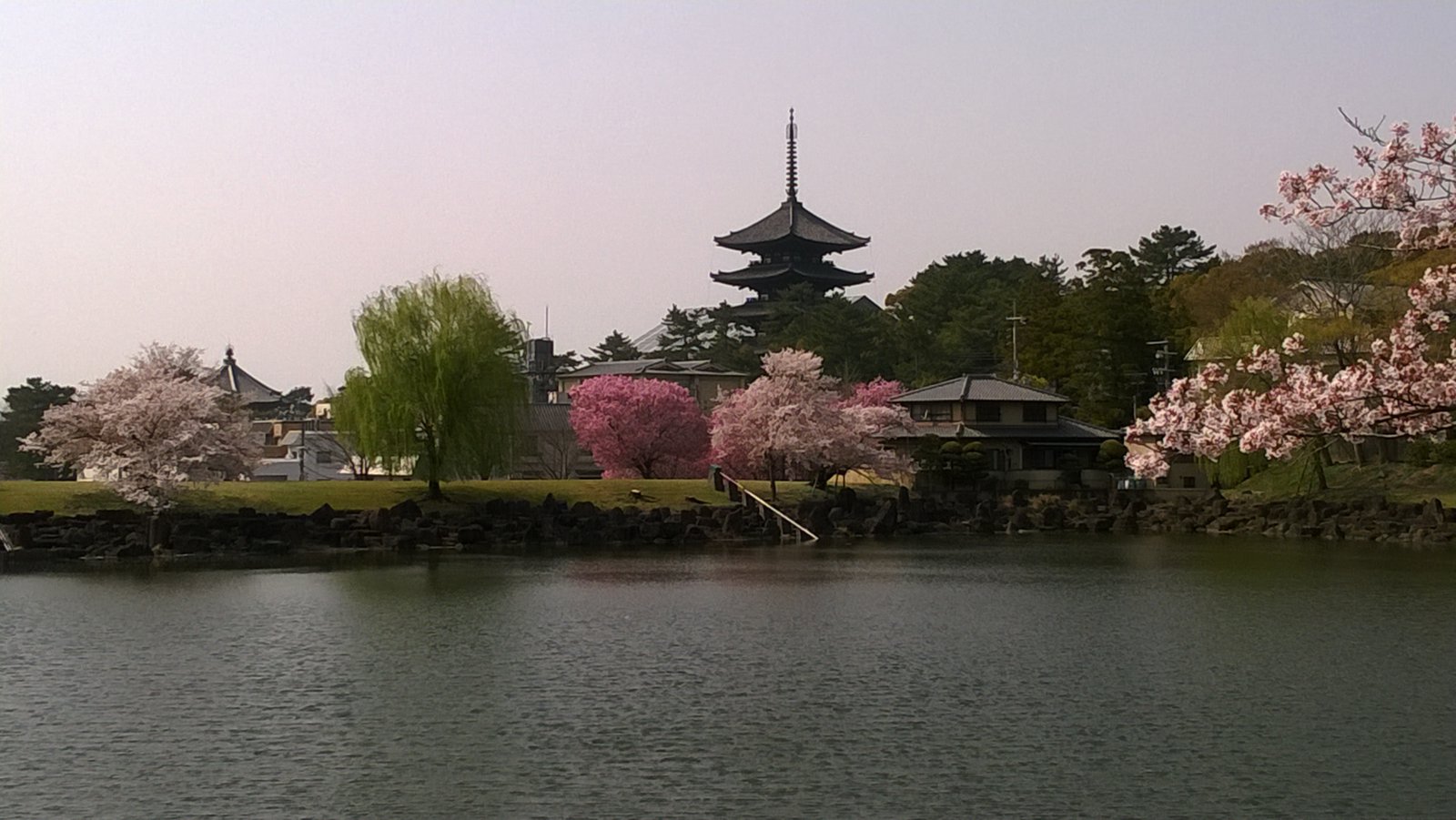 WP_20180402_14_20_42_Pro.jpg