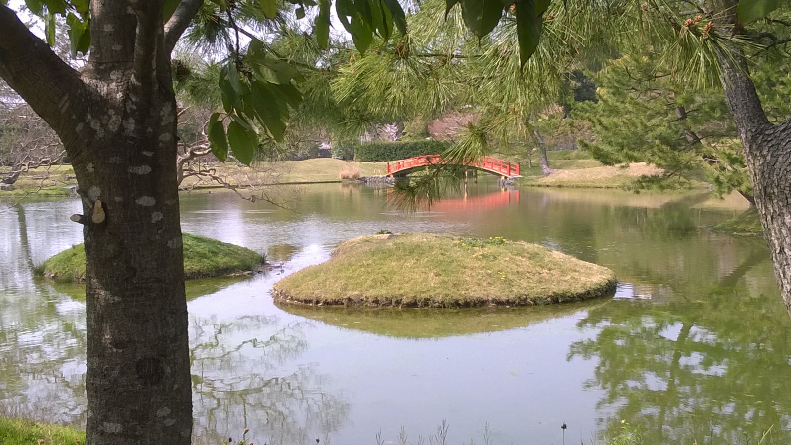 WP_20180402_14_26_08_Pro.jpg