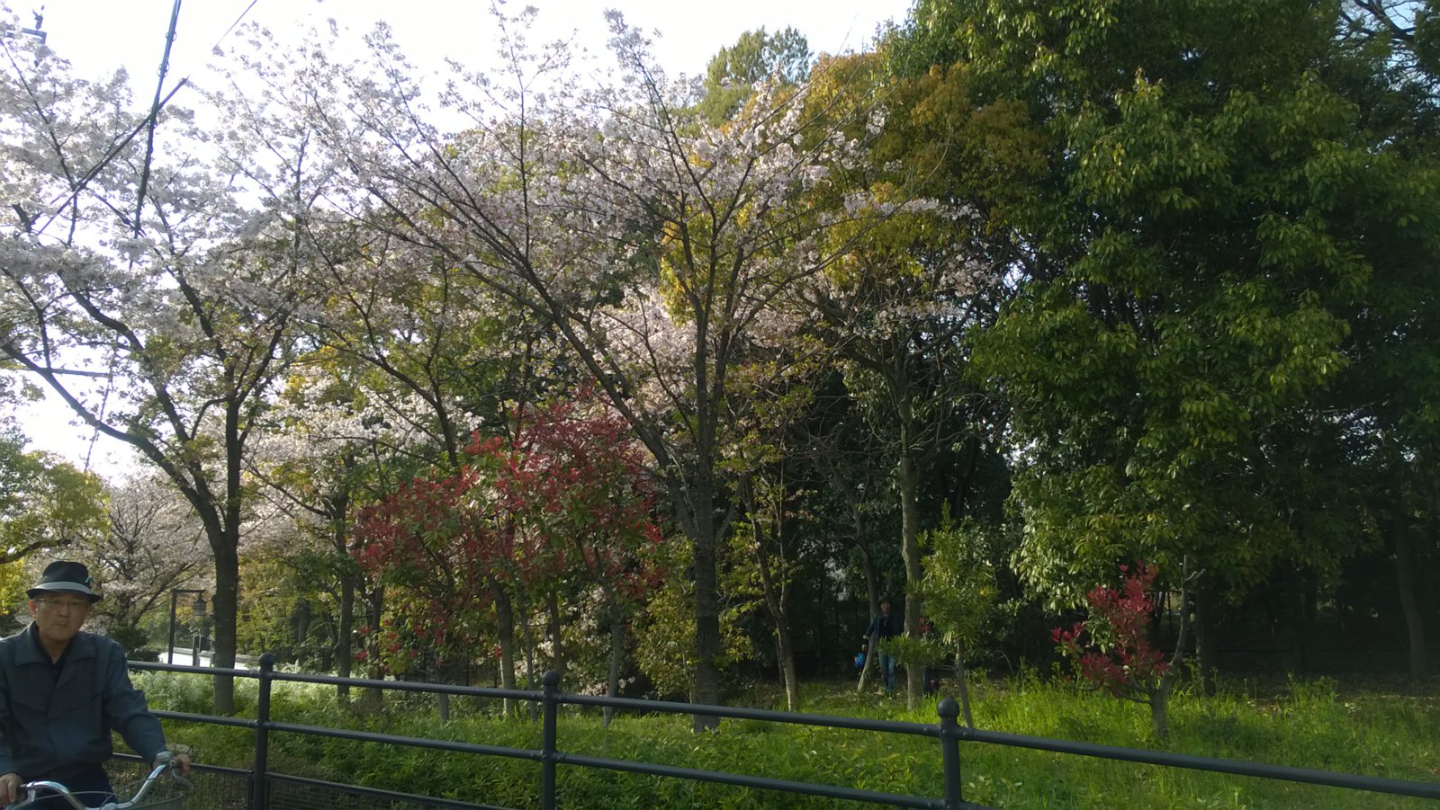 WP_20180402_16_15_27_Pro.jpg