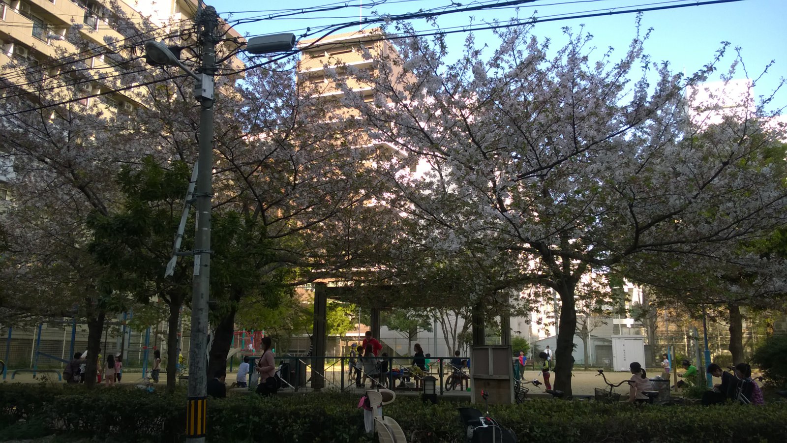 WP_20180403_16_27_16_Pro.jpg
