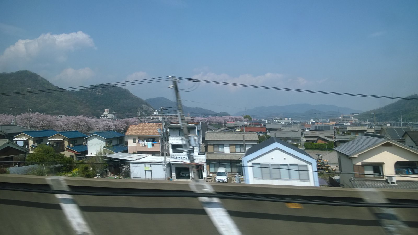 WP_20180404_11_36_47_Pro.jpg