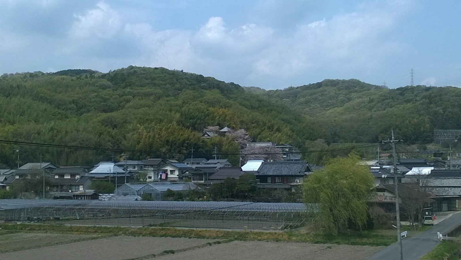 WP_20180404_11_49_45_Pro.jpg