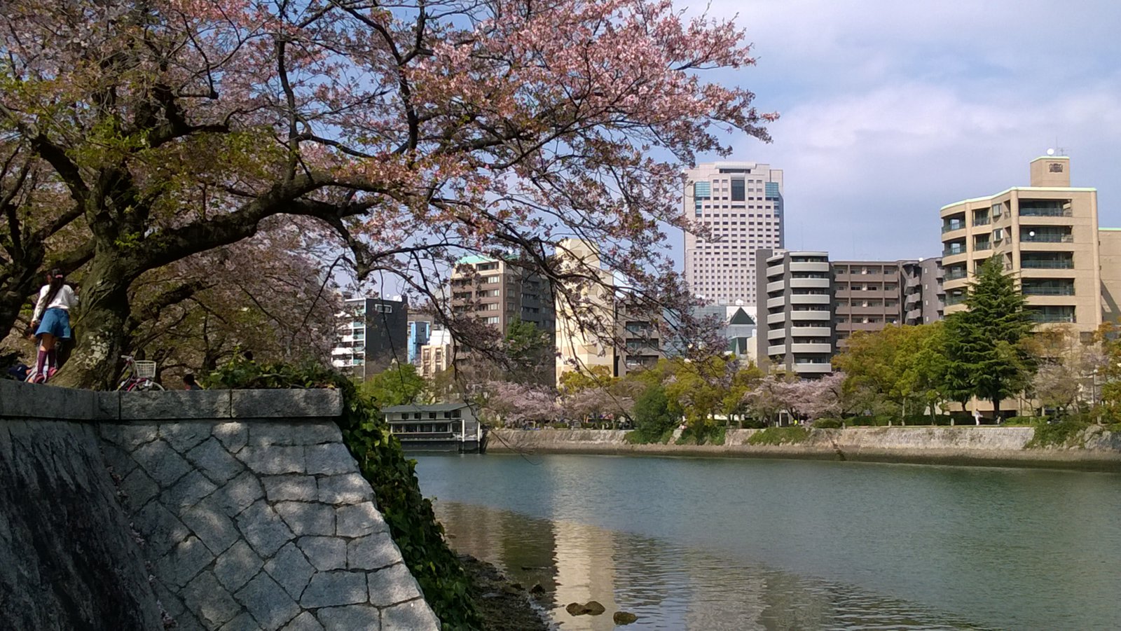 WP_20180404_14_29_27_Pro.jpg
