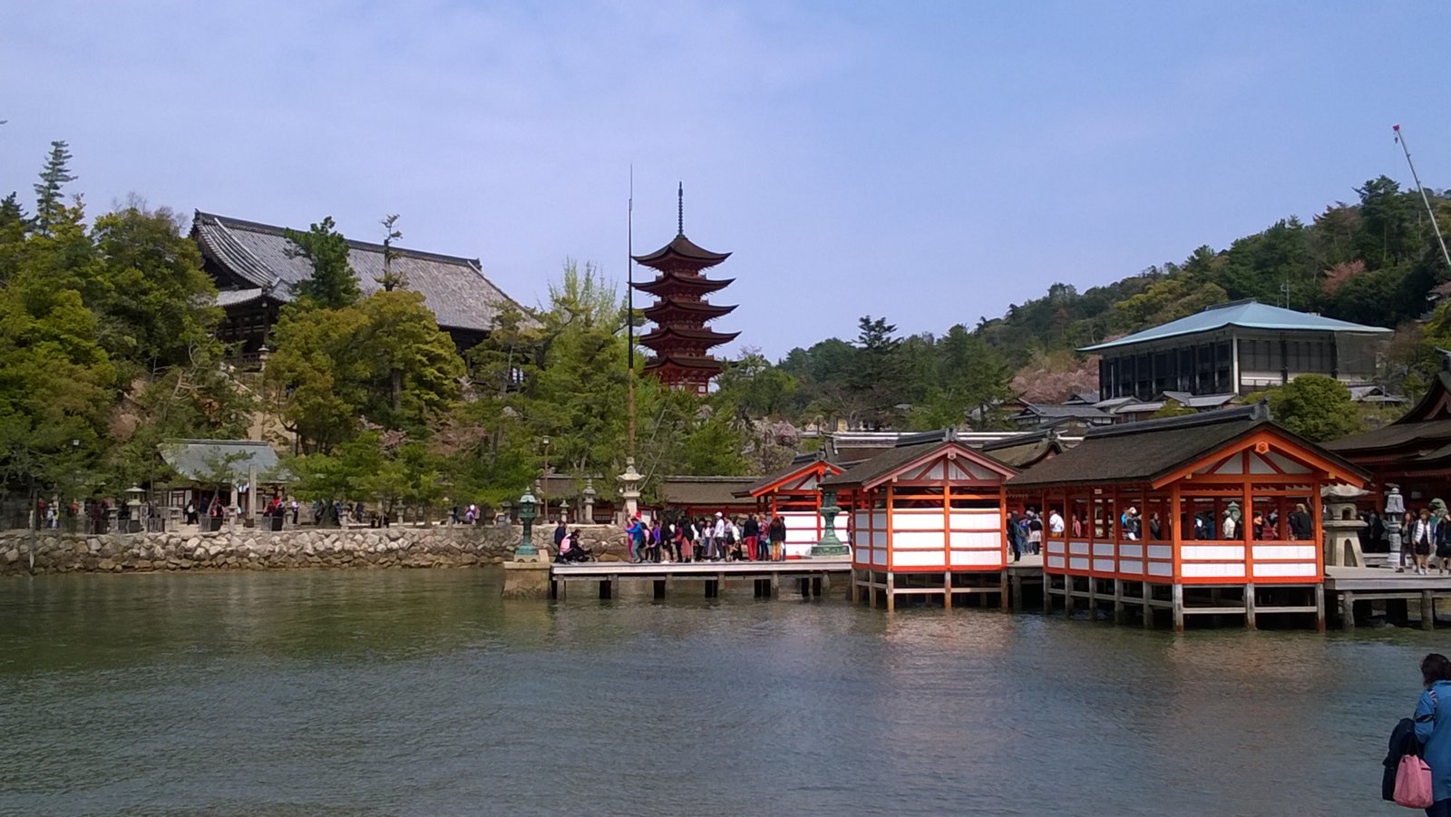WP_20180405_13_20_14_Pro.jpg