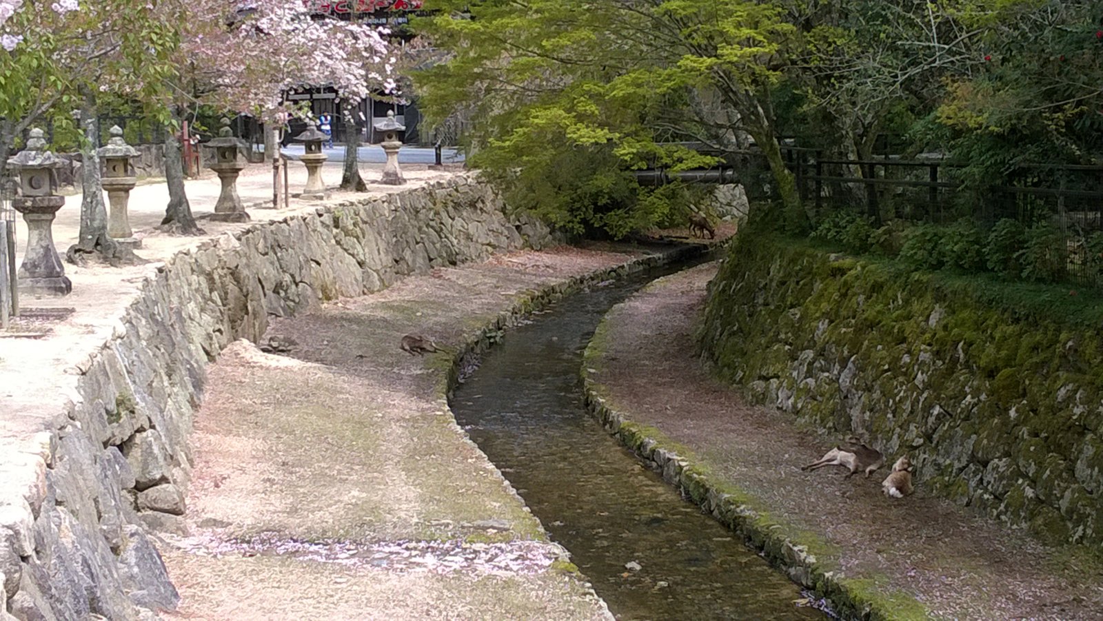 WP_20180405_13_32_04_Pro.jpg
