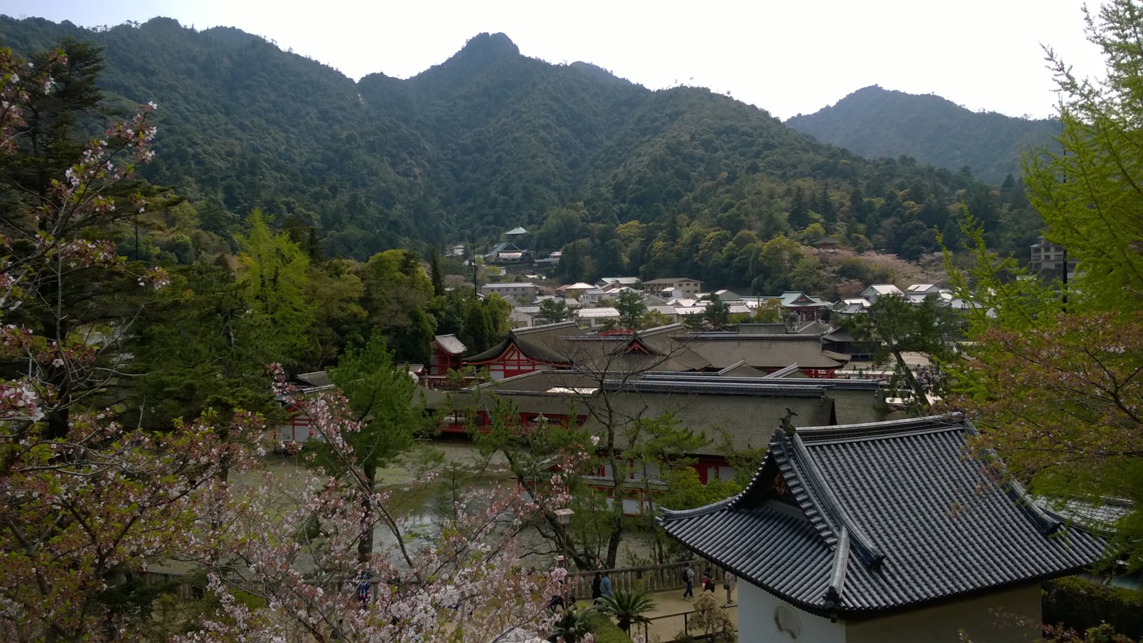 WP_20180405_13_41_56_Pro.jpg
