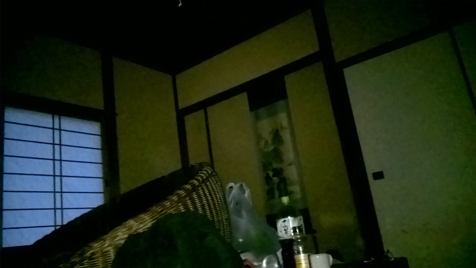 WP_20180406_06_03_33_Pro.jpg