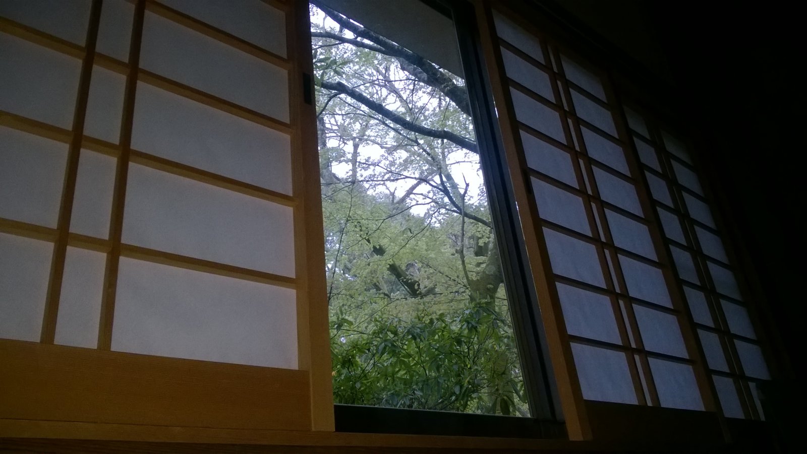WP_20180406_06_16_31_Pro.jpg
