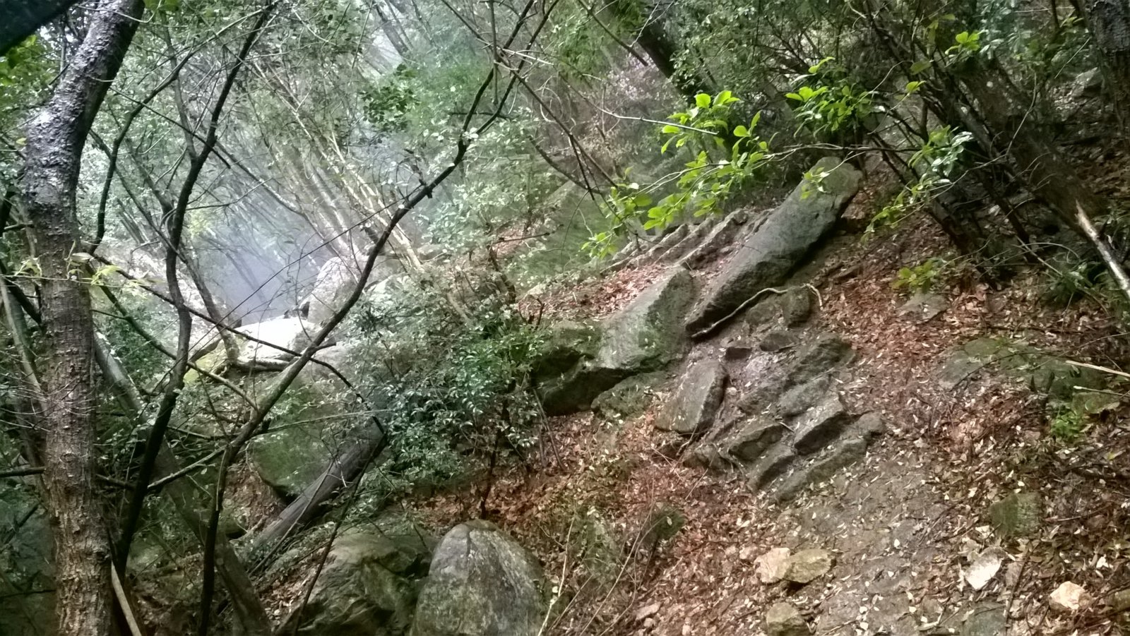 WP_20180406_11_16_38_Pro.jpg