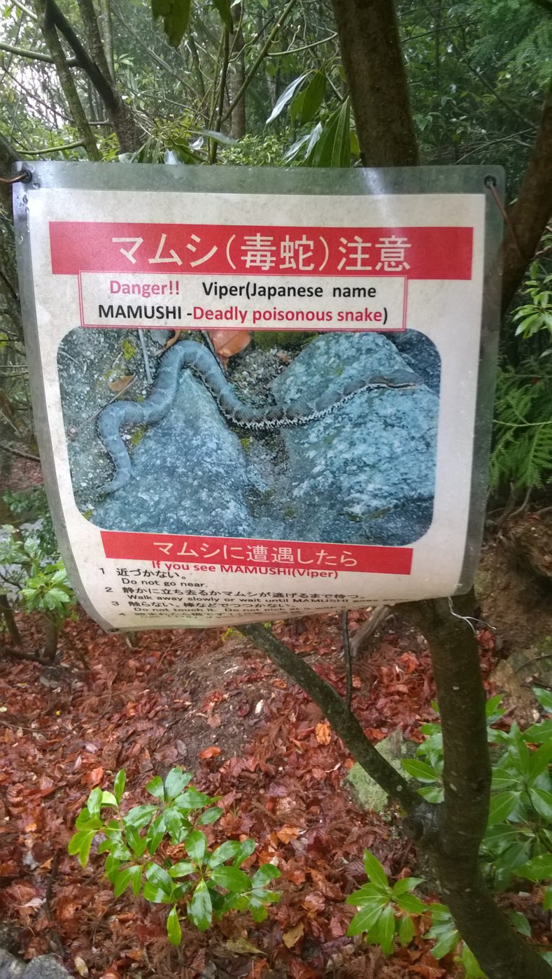 WP_20180406_12_40_28_Pro.jpg