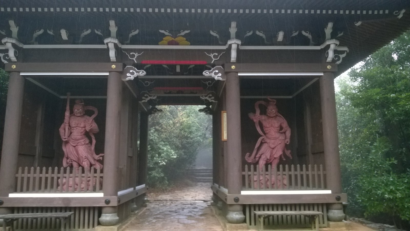 WP_20180406_12_40_49_Pro.jpg