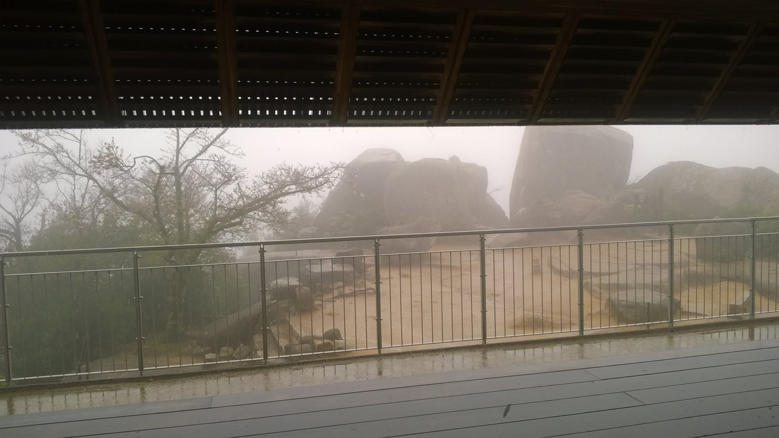 WP_20180406_13_40_59_Pro.jpg