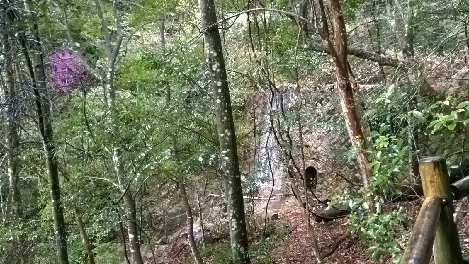 WP_20180406_14_23_08_Pro.jpg