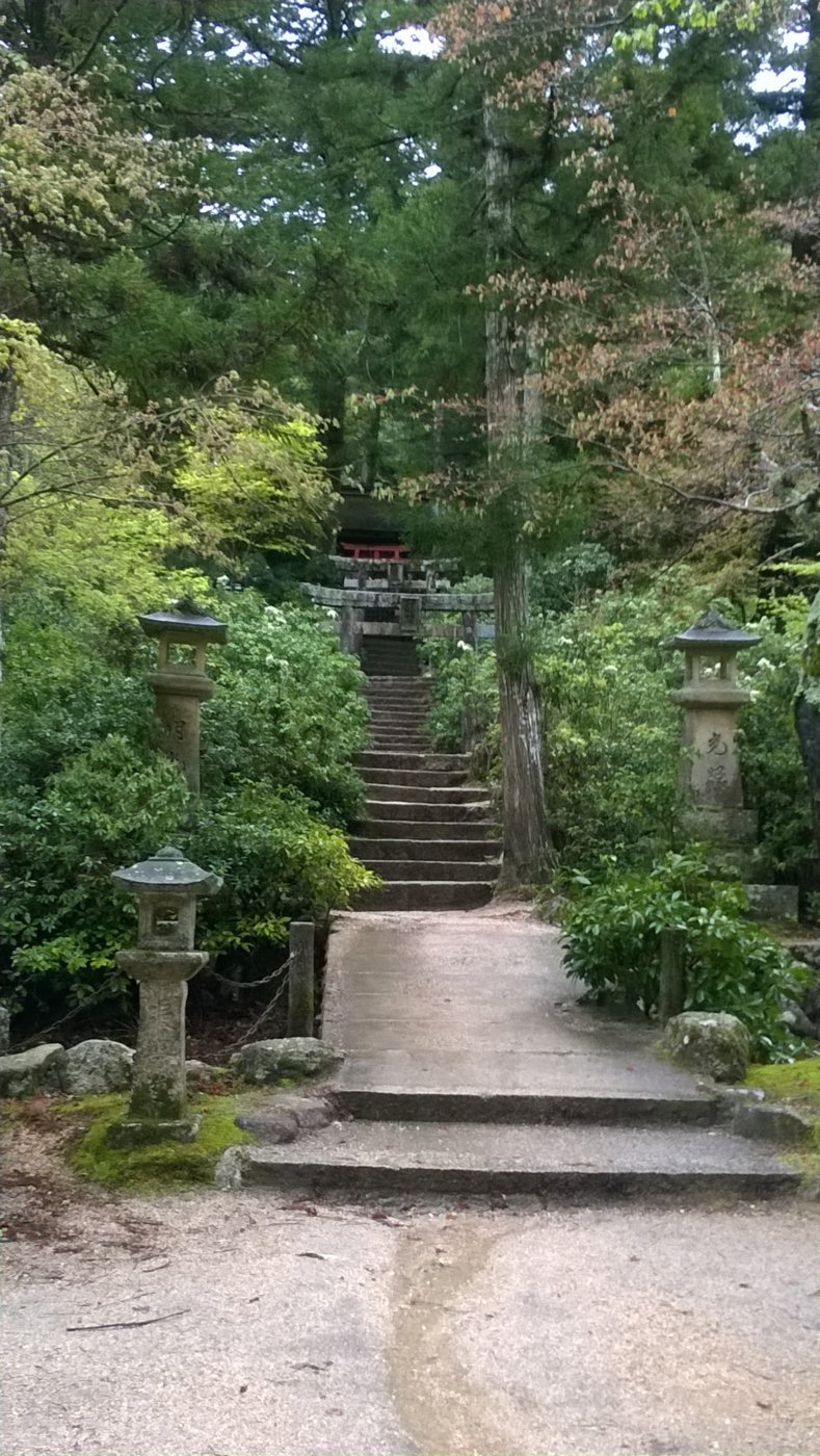 WP_20180406_14_39_08_Pro.jpg