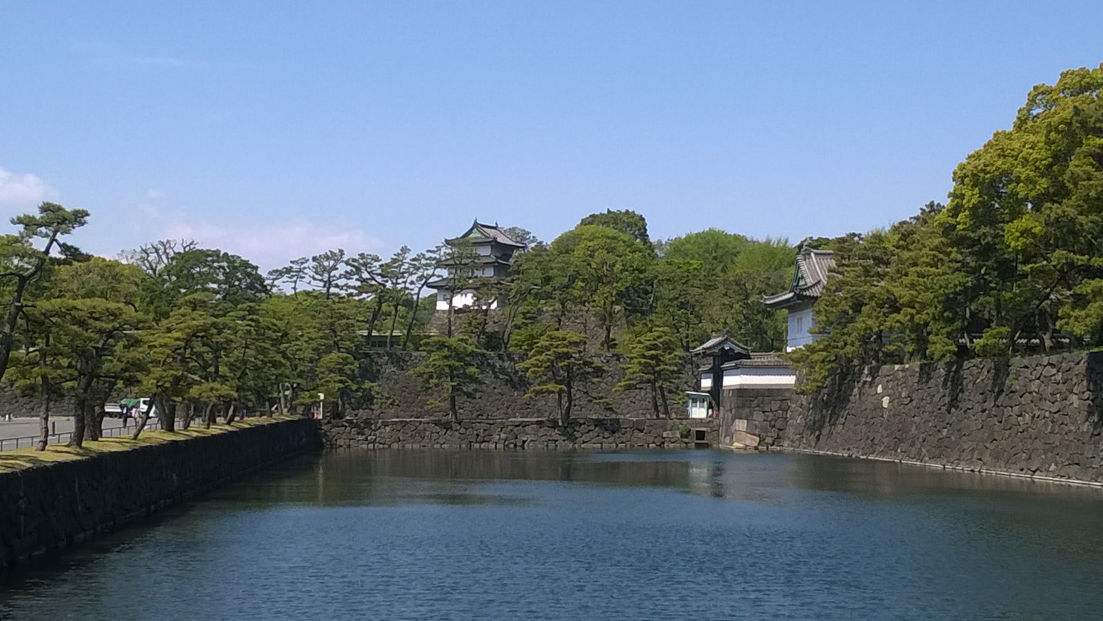 WP_20180409_10_52_07_Pro.jpg