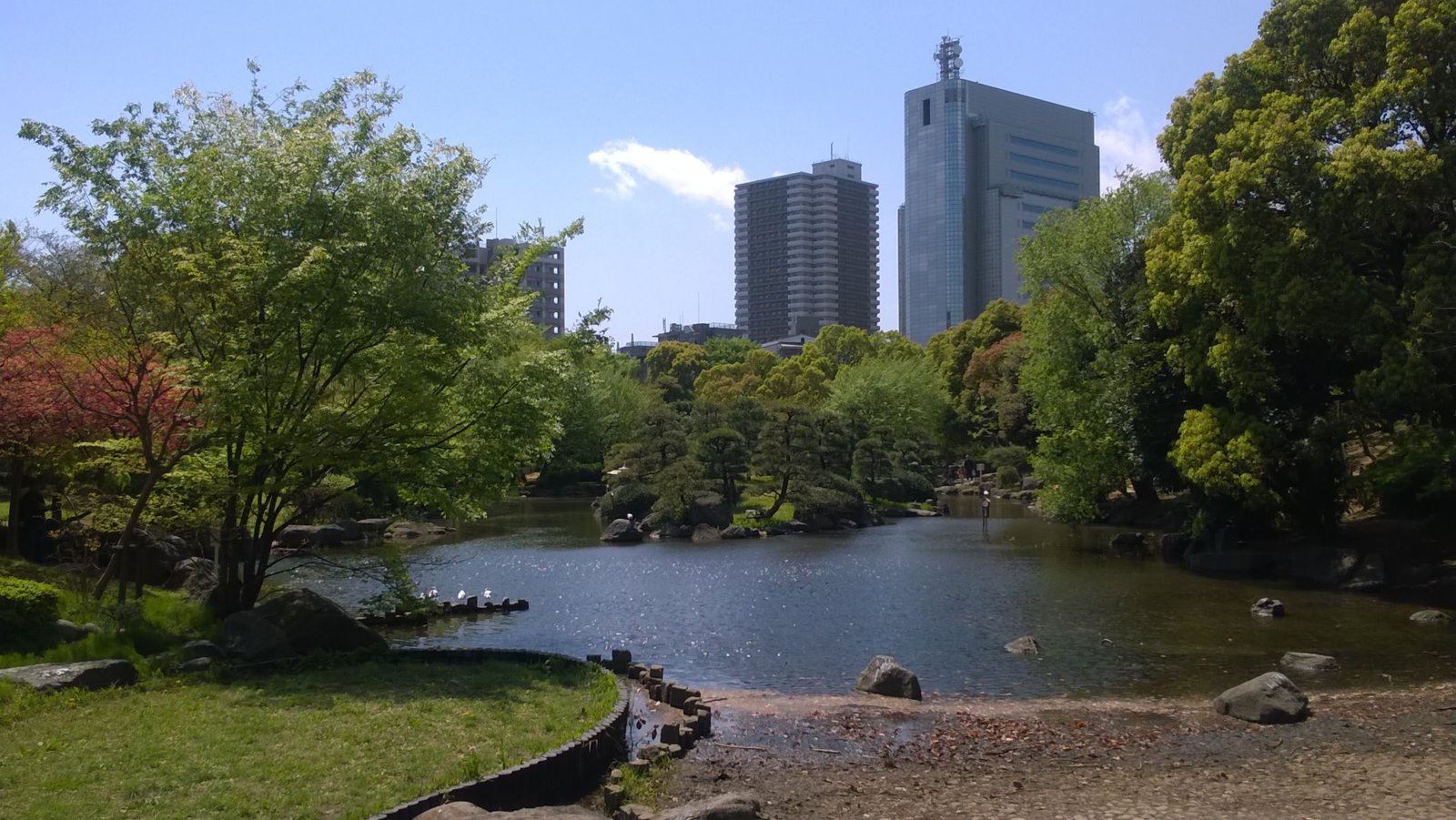 WP_20180409_11_47_47_Pro.jpg
