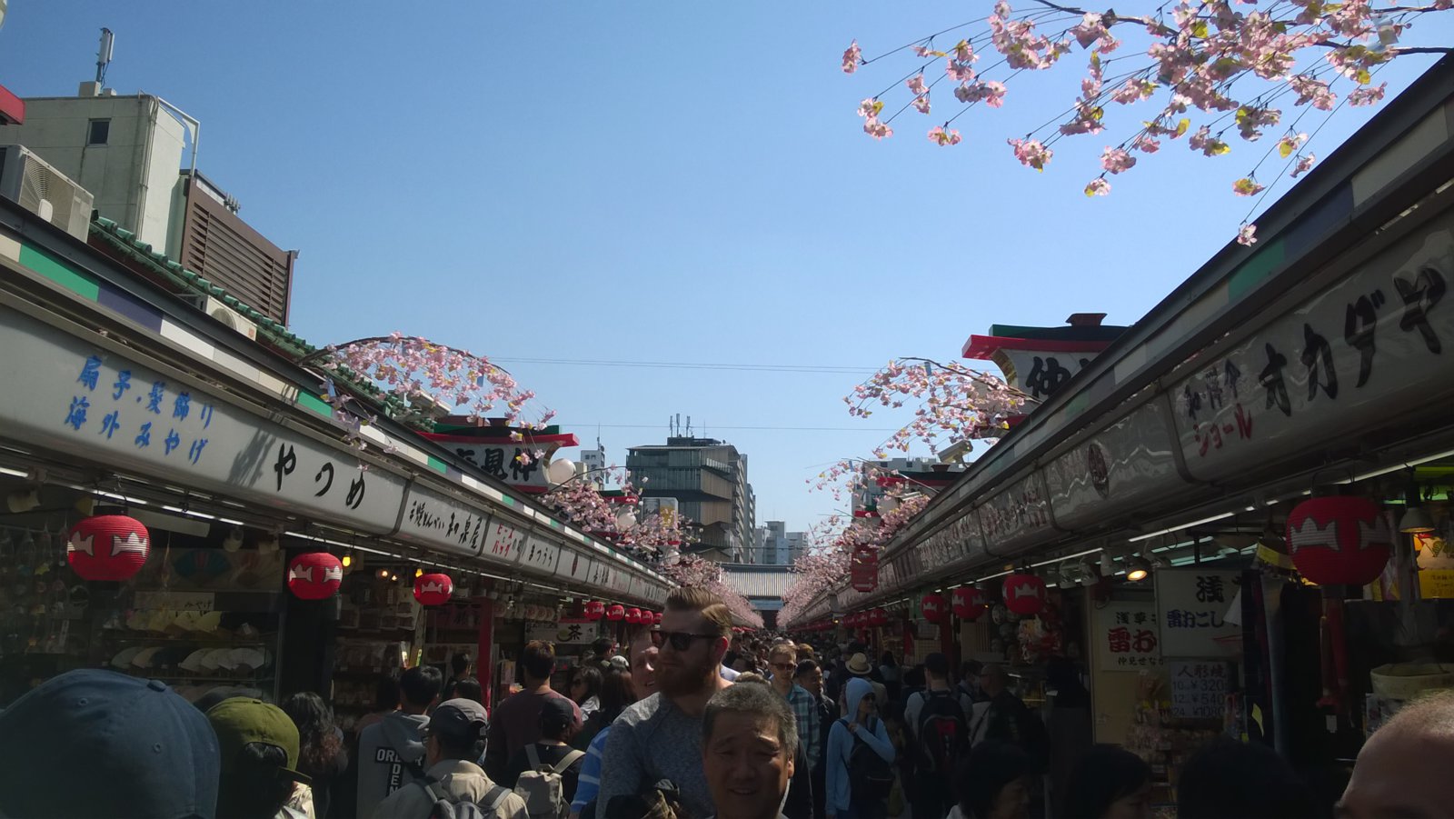 WP_20180409_13_43_07_Pro.jpg