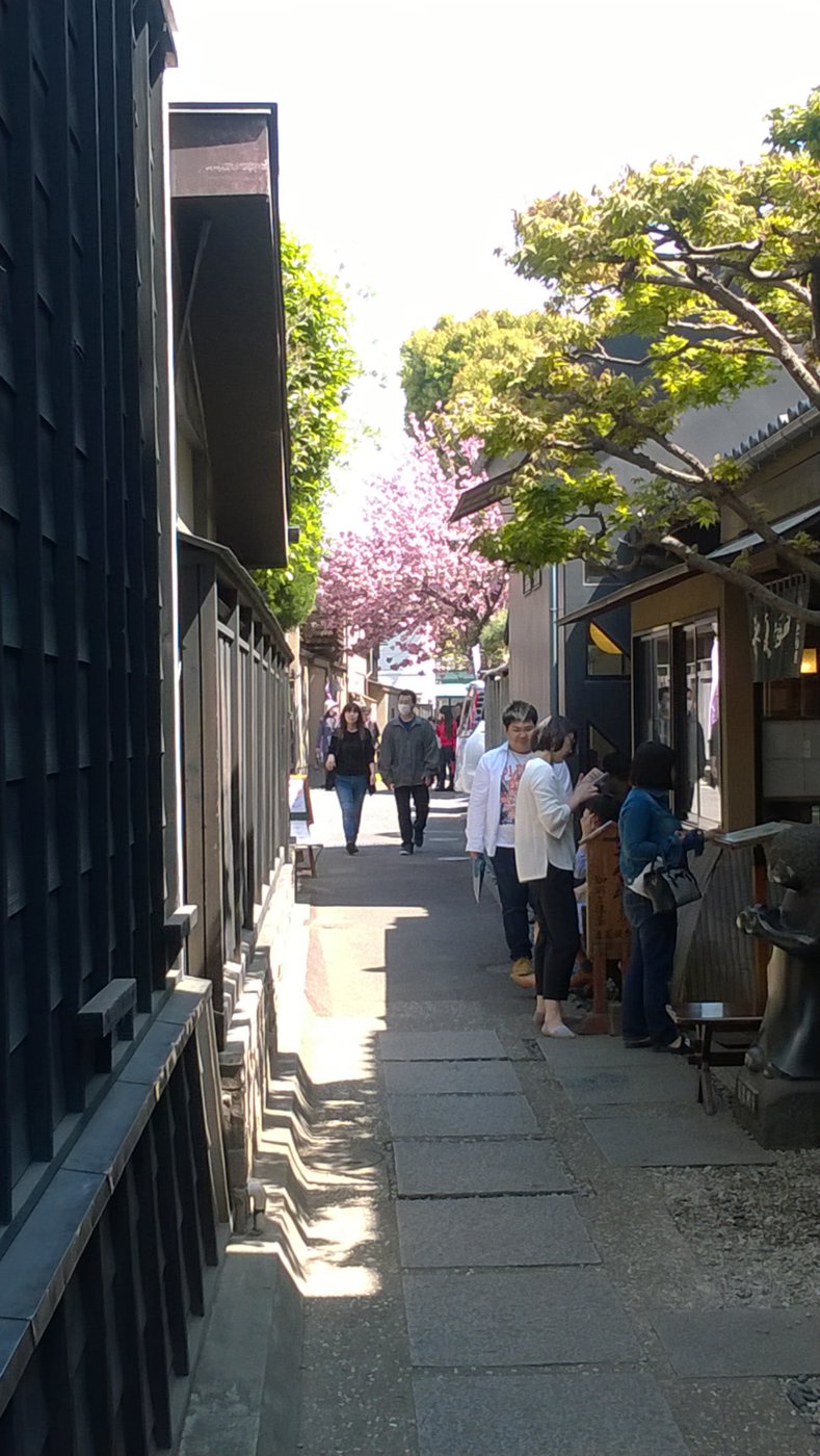 WP_20180410_12_35_44_Pro.jpg
