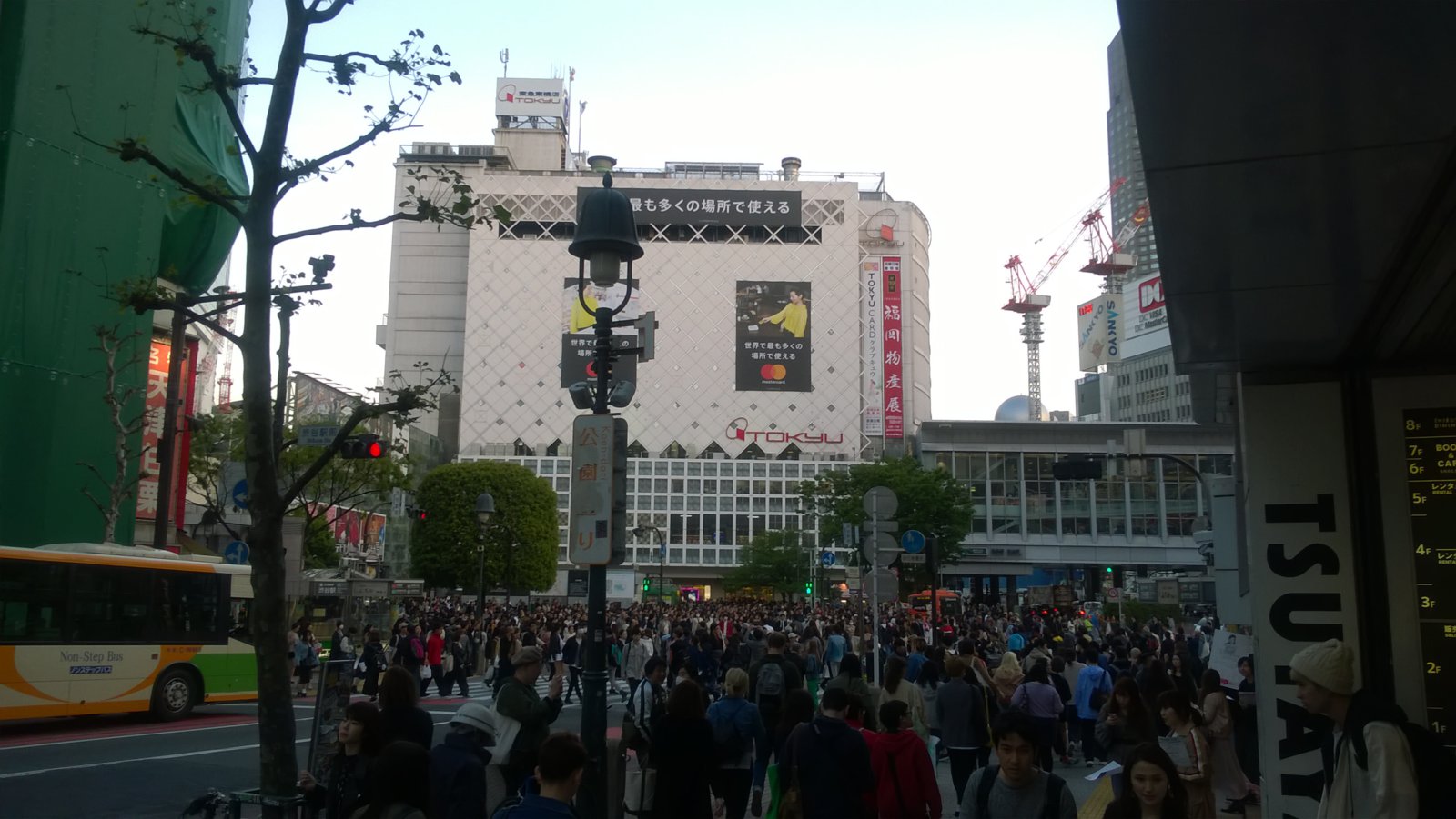 WP_20180410_17_22_45_Pro.jpg