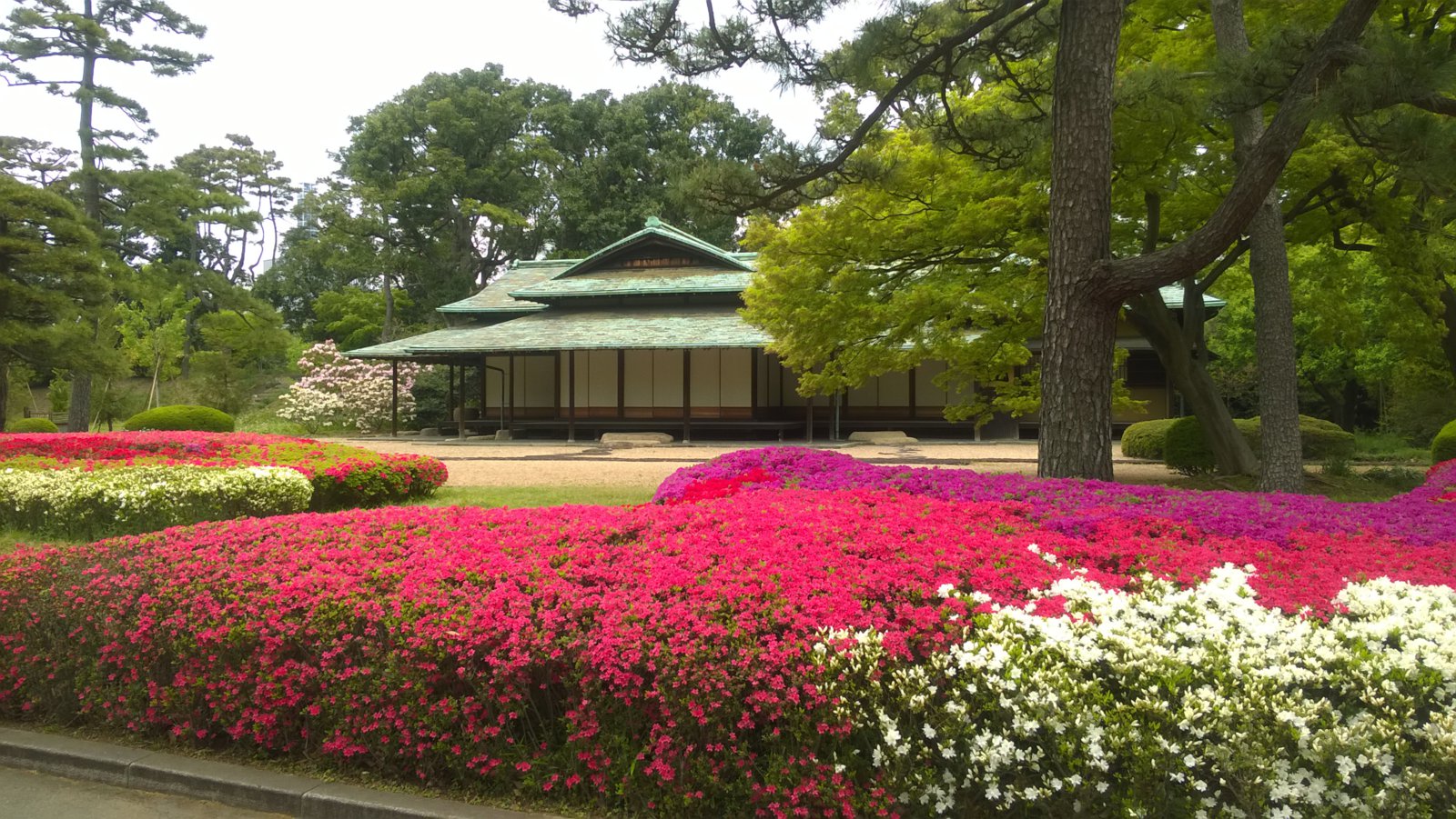 WP_20180411_10_26_17_Pro.jpg