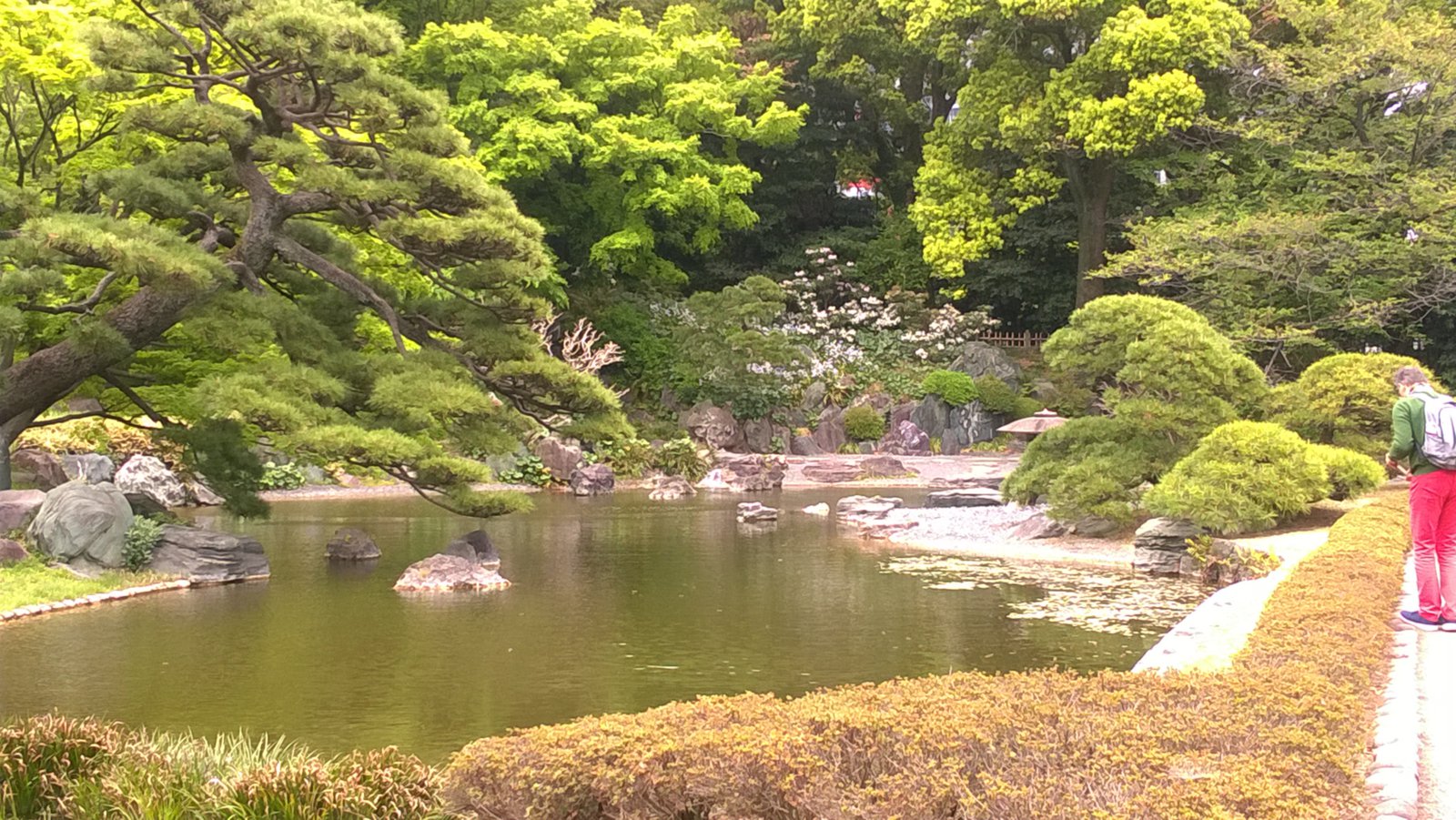 WP_20180411_10_27_34_Pro.jpg