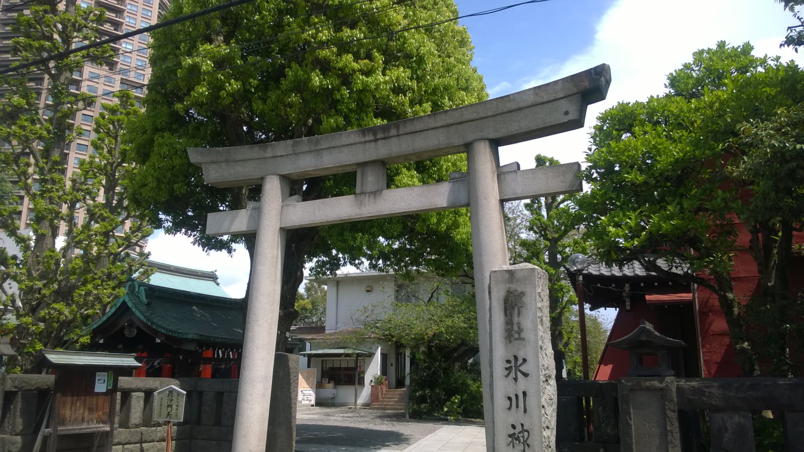 WP_20180411_12_38_24_Pro.jpg