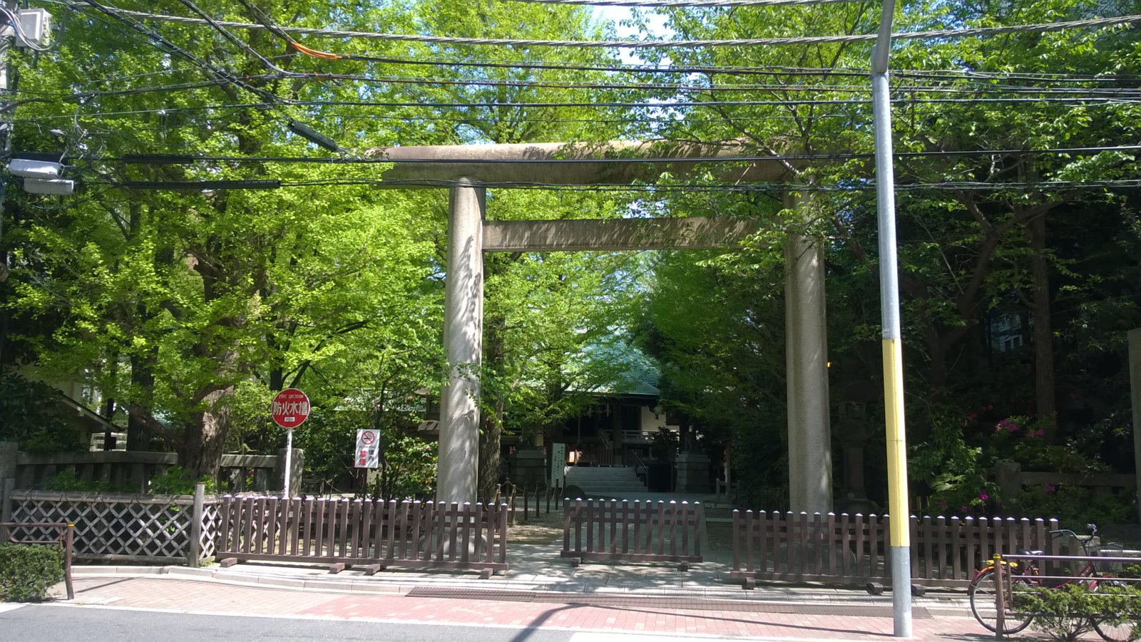 WP_20180413_10_30_06_Pro.jpg