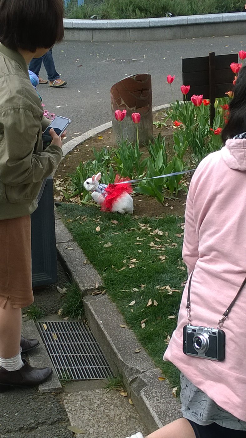 WP_20180414_13_01_08_Pro.jpg