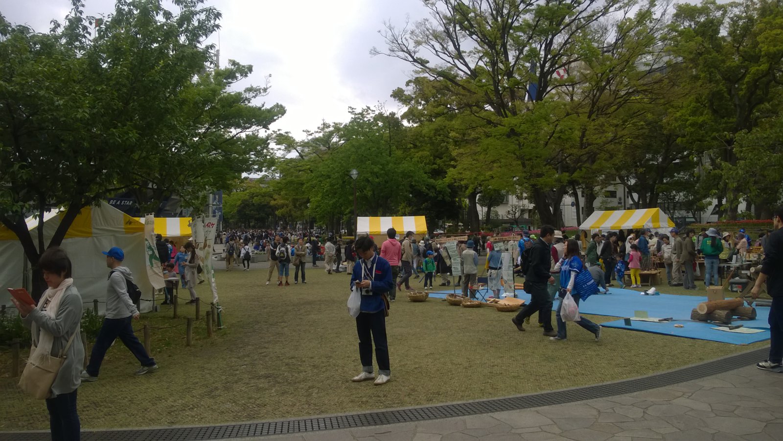 WP_20180414_13_34_36_Pro.jpg
