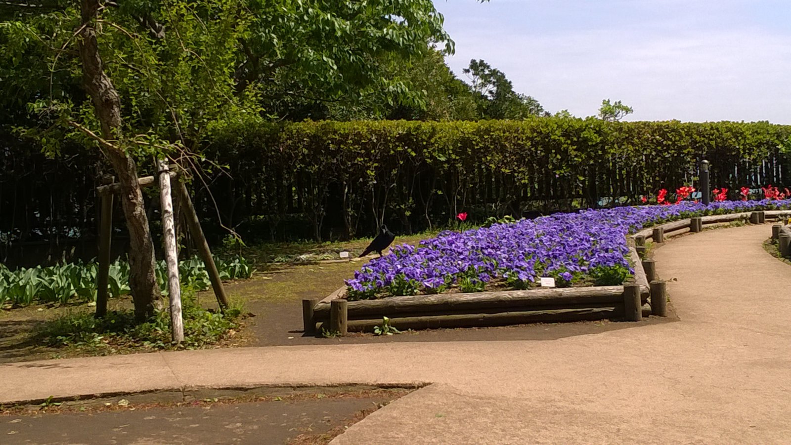WP_20180416_12_13_56_Pro.jpg
