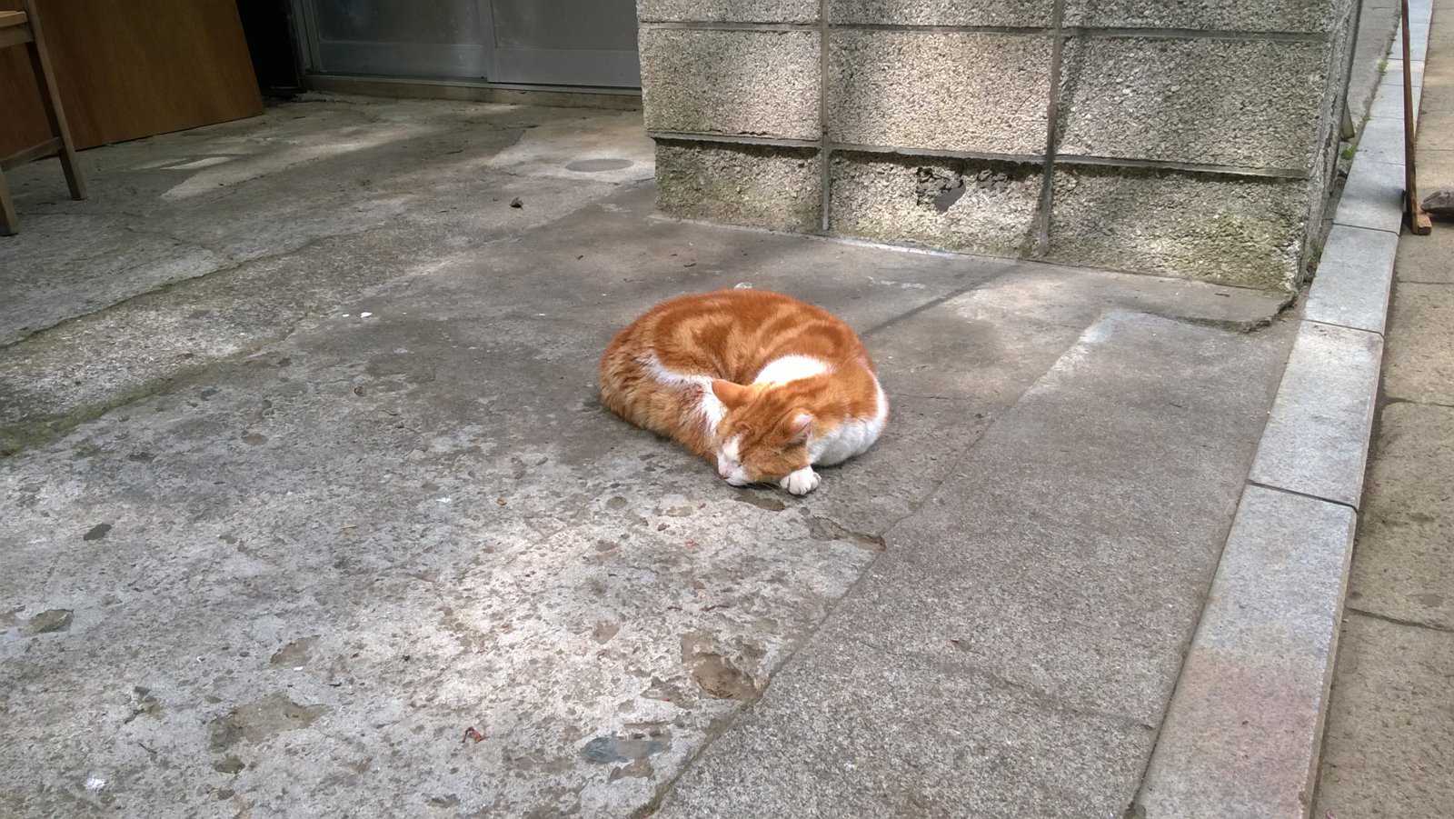 WP_20180416_13_57_02_Pro.jpg