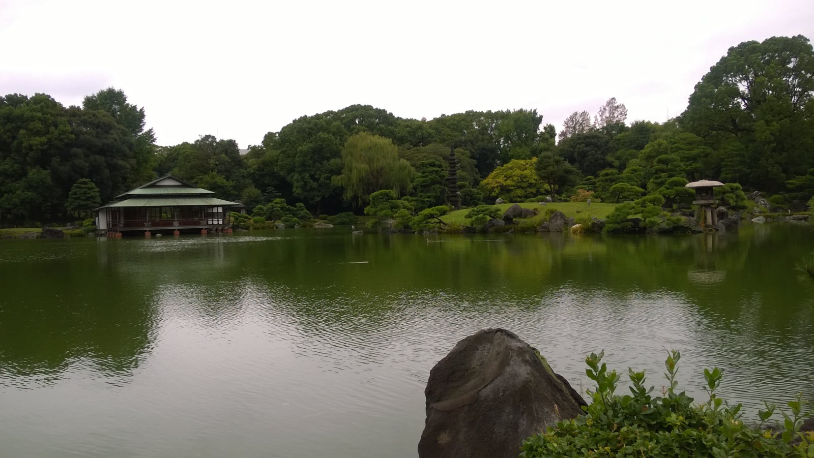 WP_20181005_10_48_38_Pro.jpg