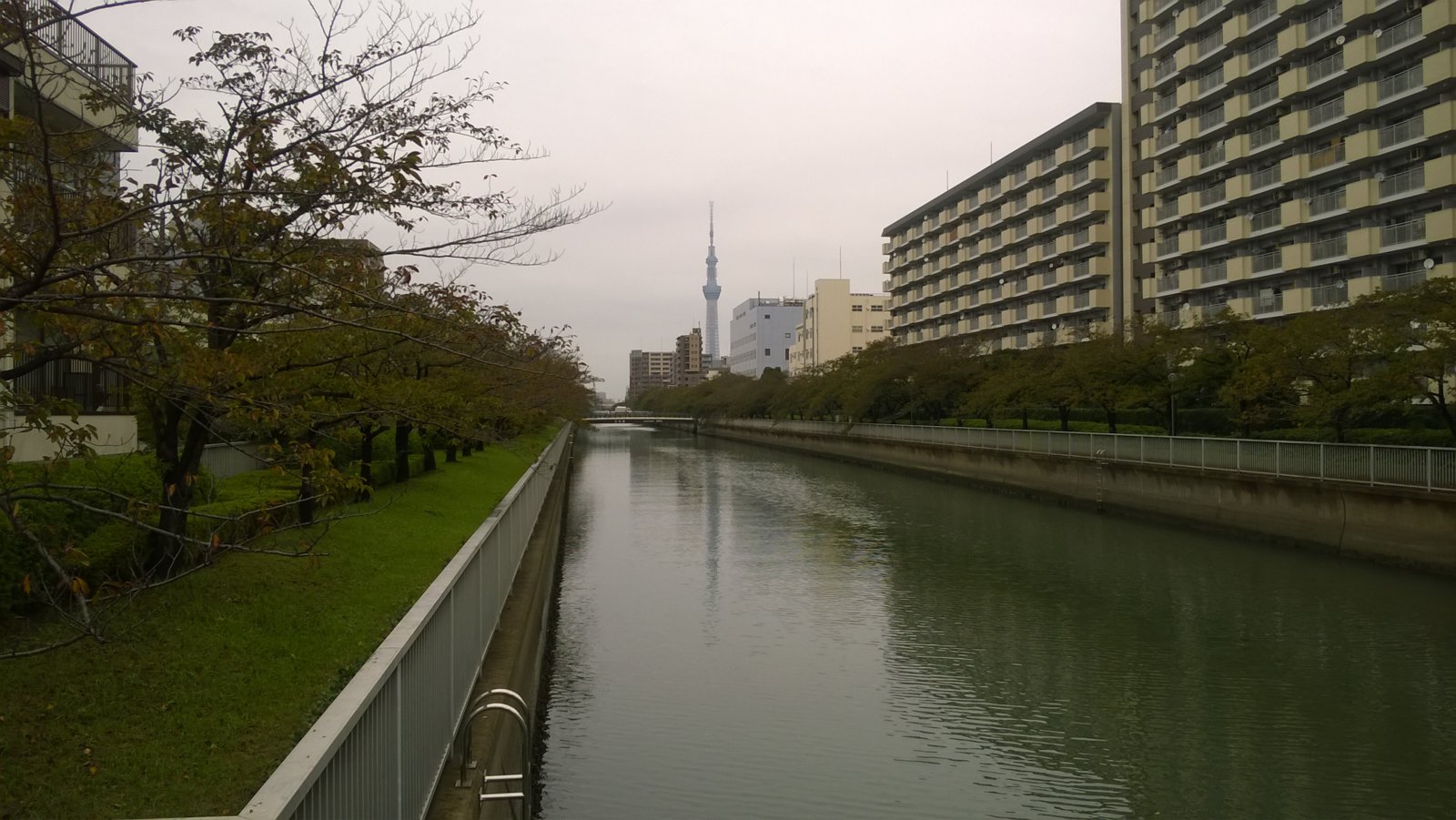 WP_20181005_11_41_25_Pro.jpg