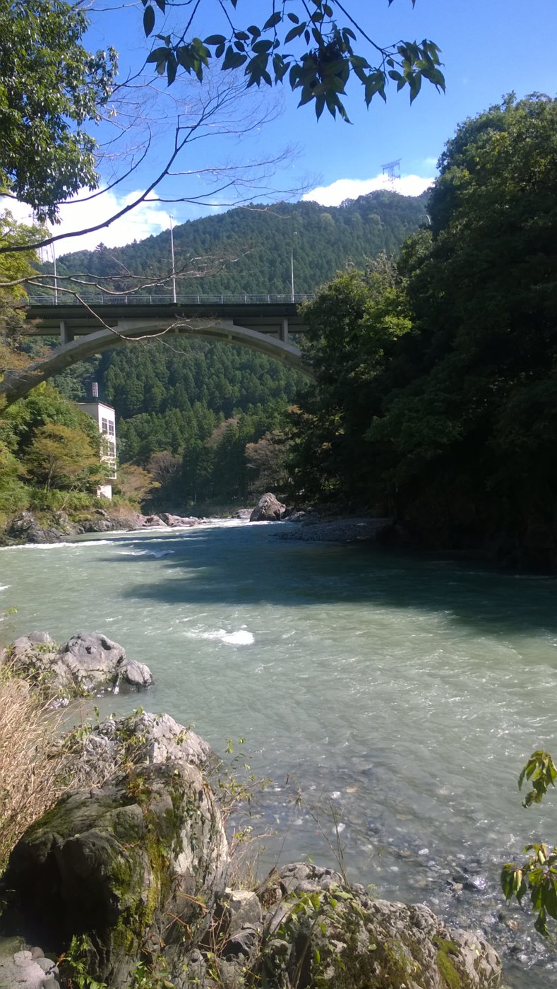 WP_20181006_11_46_00_Pro.jpg