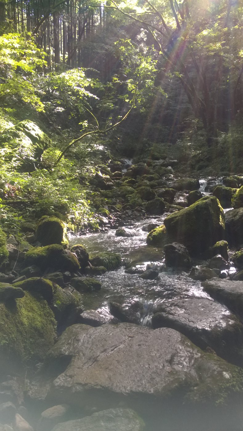 WP_20181006_13_53_03_Pro.jpg