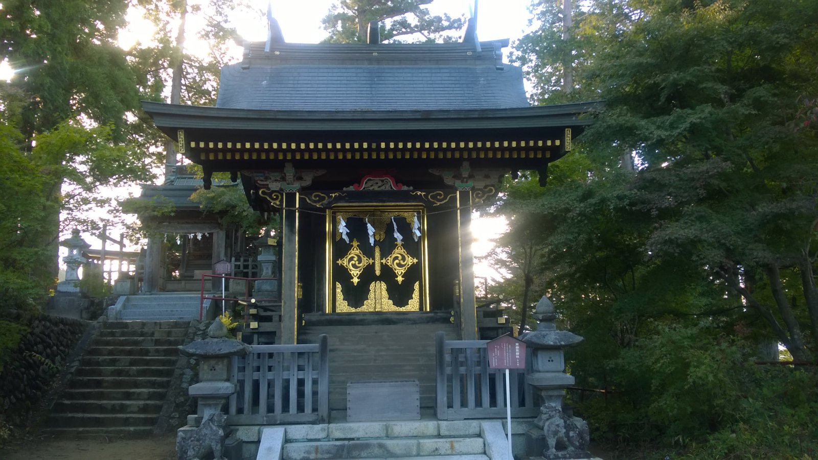 WP_20181006_15_28_52_Pro.jpg