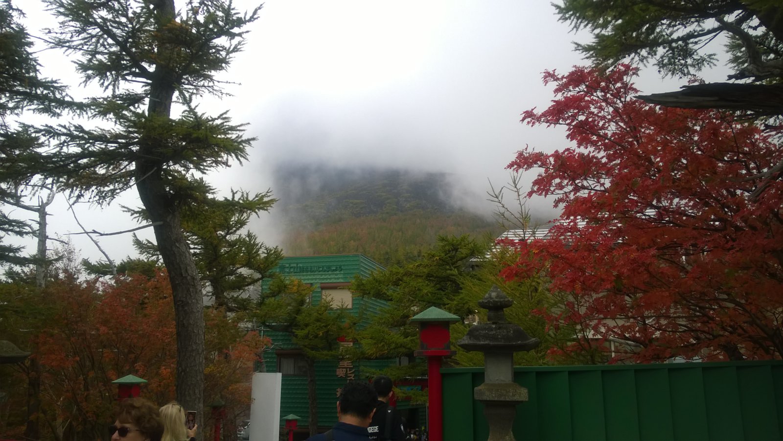 WP_20181008_11_54_16_Pro.jpg
