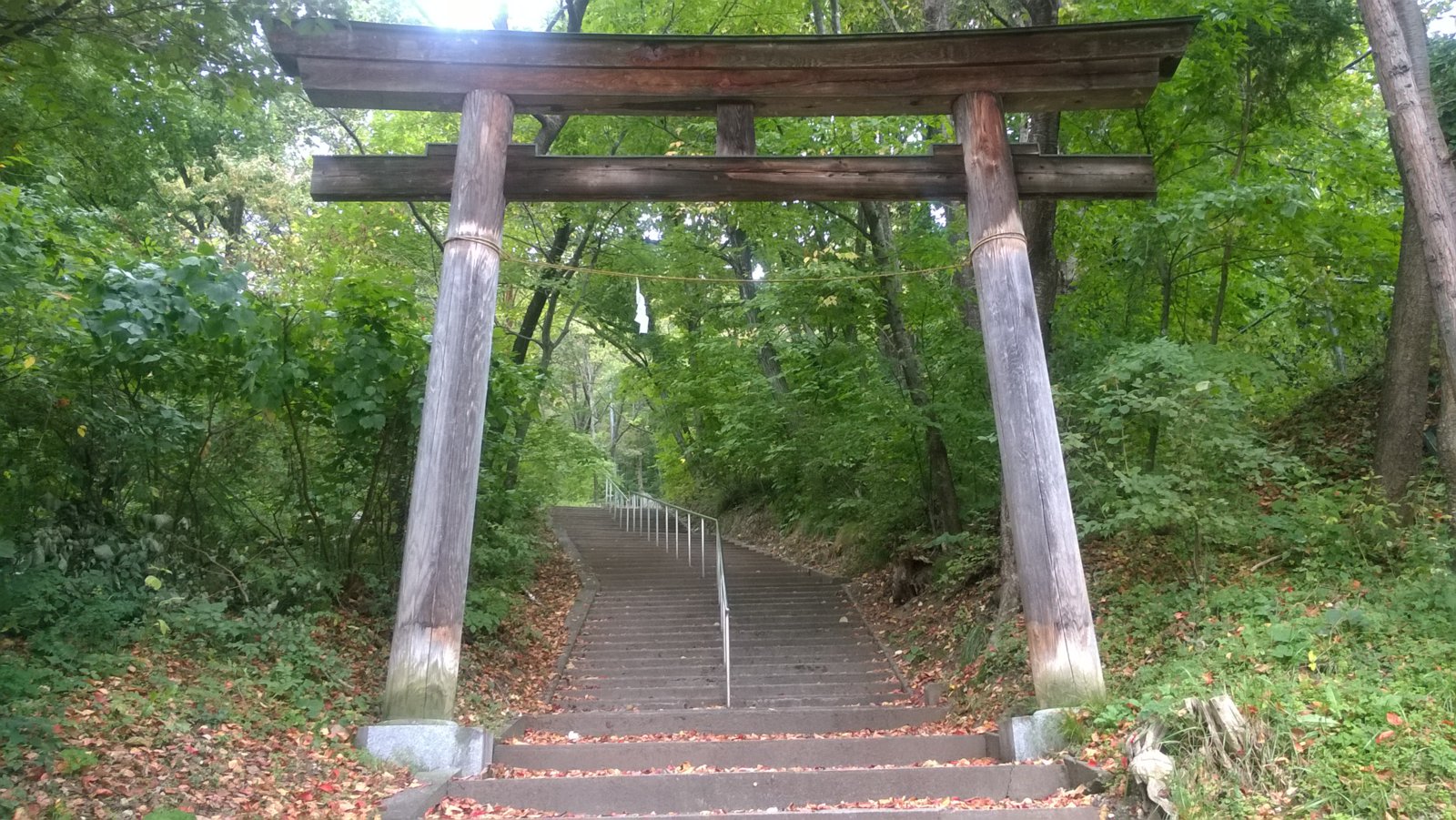 WP_20181010_12_45_58_Pro.jpg