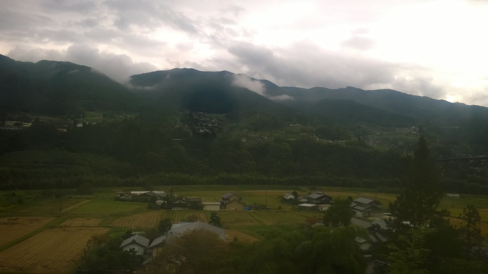 WP_20181011_11_00_58_Pro.jpg