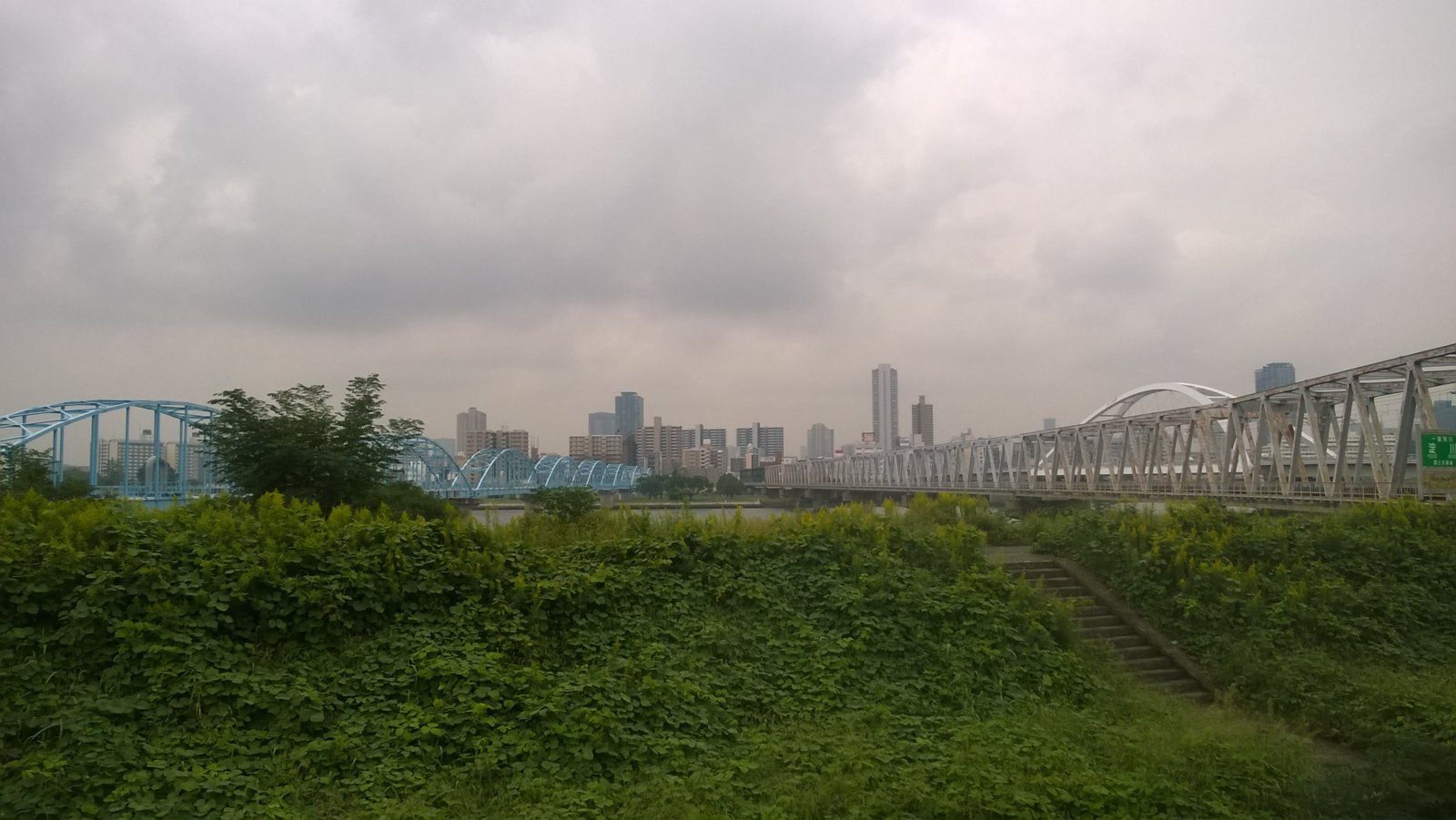 WP_20181011_16_27_51_Pro.jpg