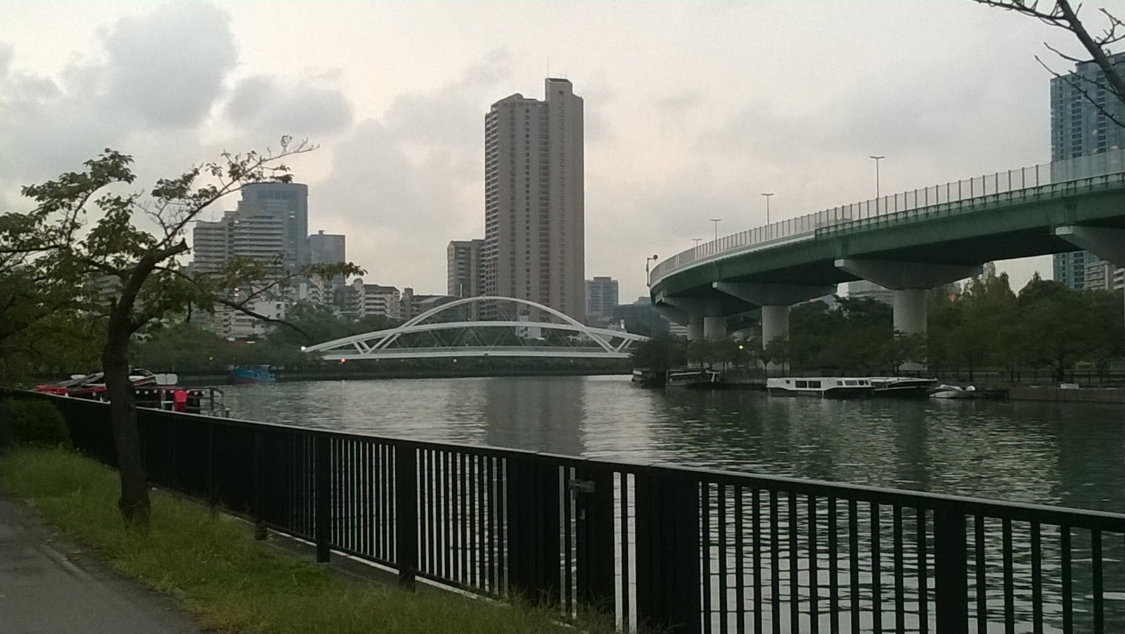 WP_20181011_17_07_15_Pro.jpg