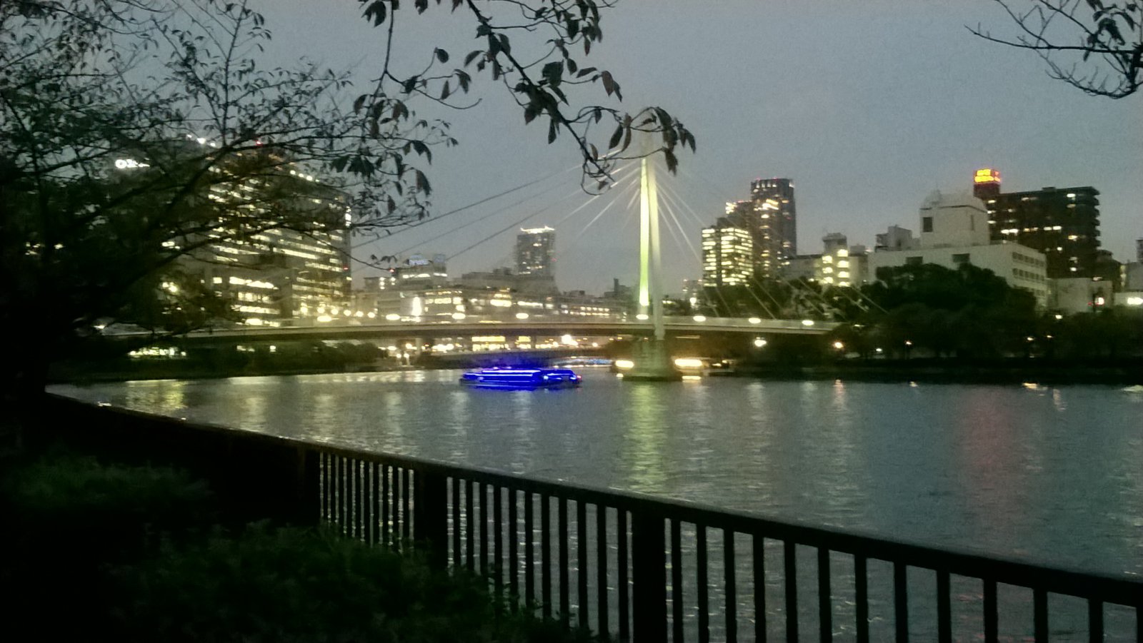 WP_20181011_17_44_07_Pro.jpg