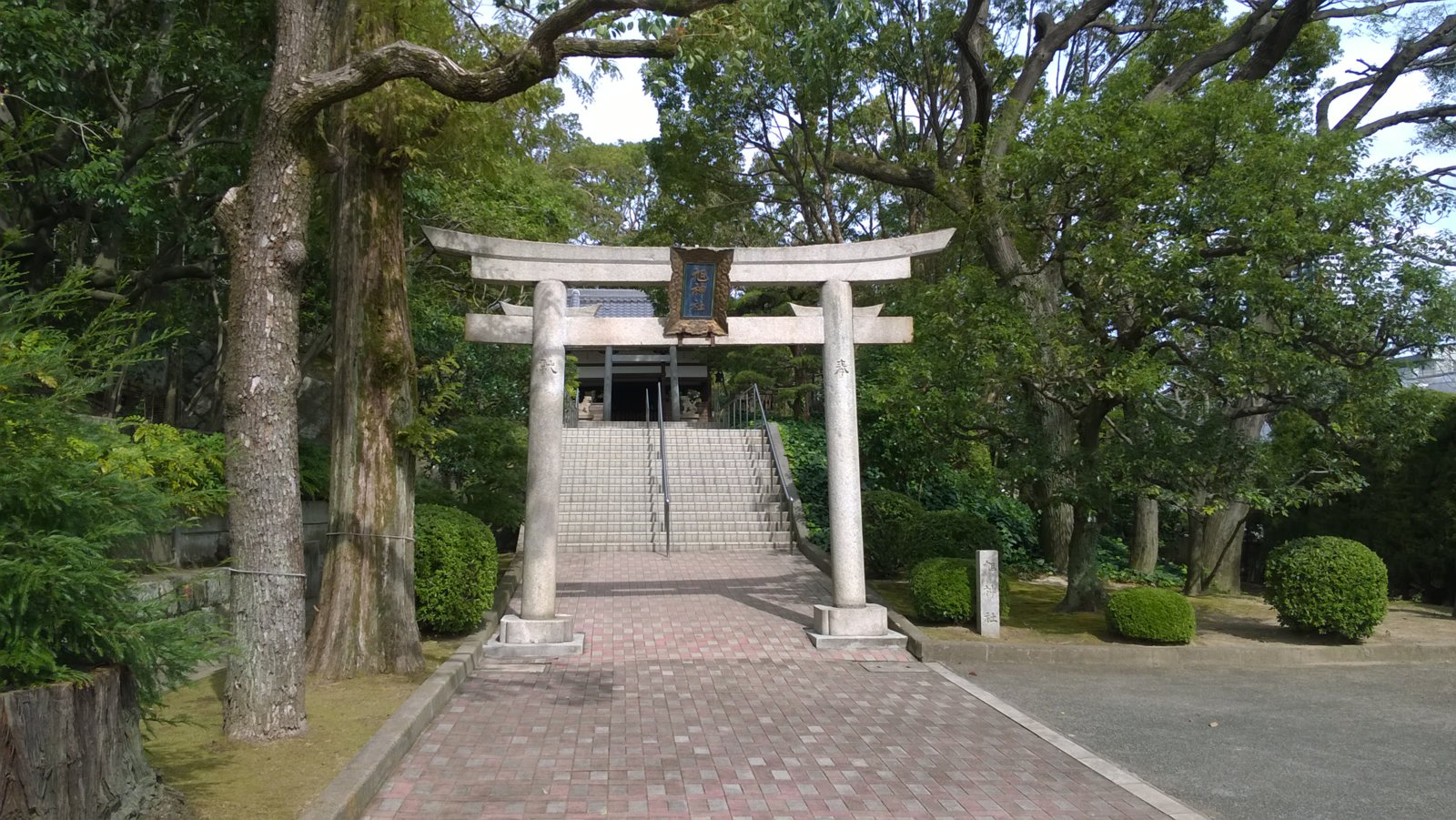 WP_20181012_12_57_26_Pro.jpg