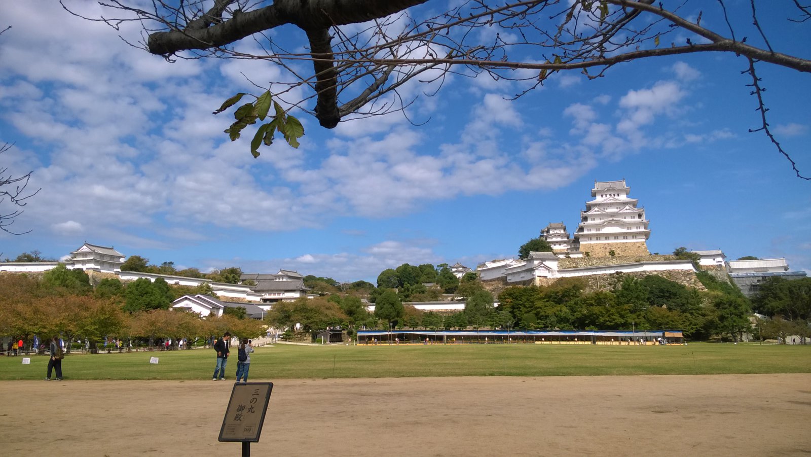 WP_20181013_11_06_16_Pro.jpg
